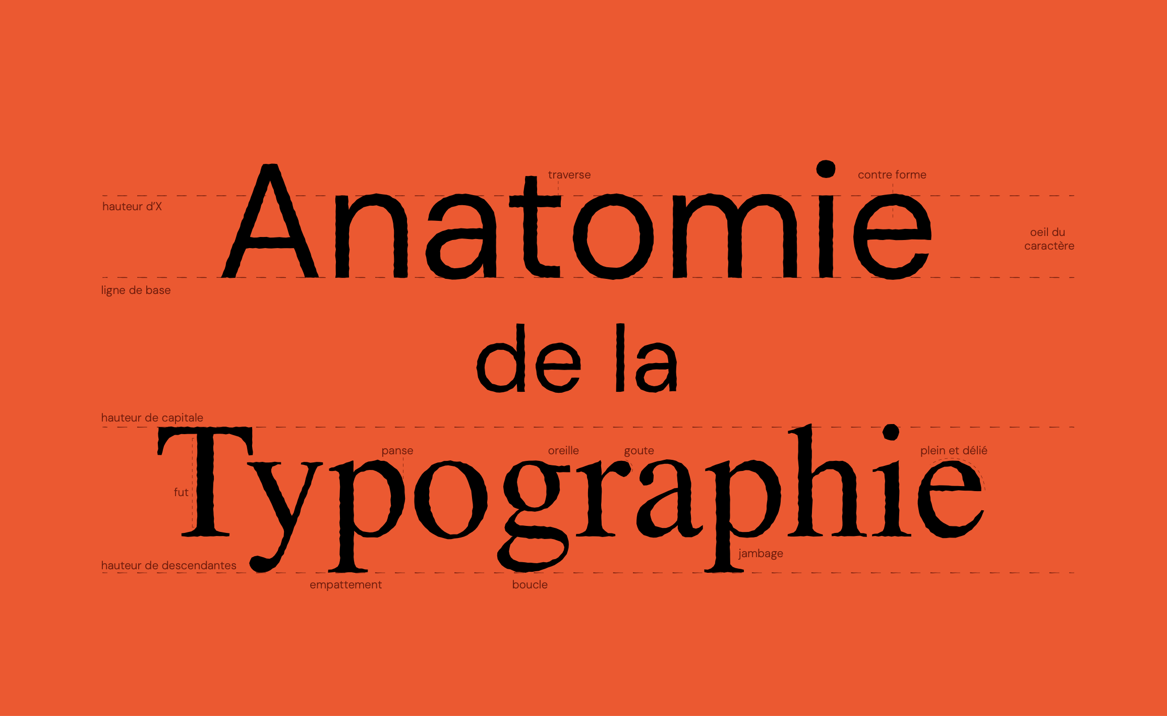 Anatomie de la typographie